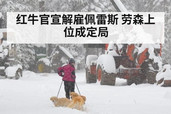 红牛官宣解雇佩雷斯 劳森上位成定局