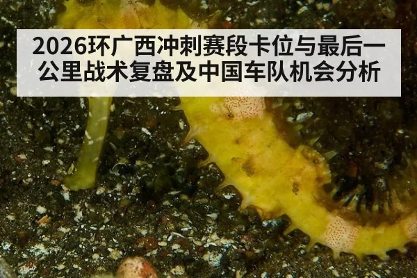 2026环广西冲刺赛段卡位与最后一公里战术复盘及中国车队机会分析
